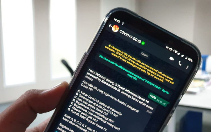Usai Situs Resmi, Pemerintah Juga Luncurkan Chatbot WhatsApp Tanggapi COVID-19
