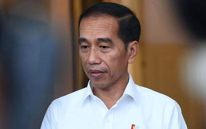 Jokowi Borong 5 Juta Avigan dan Chloroquine, Diklaim Bisa Sembuhkan Virus Corona