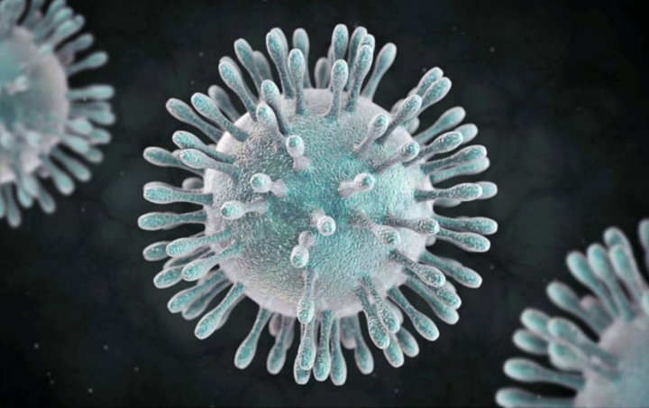 Virus Corona Tak Bisa Ditularkan Melalui Makanan, Ini Kata Peneliti
