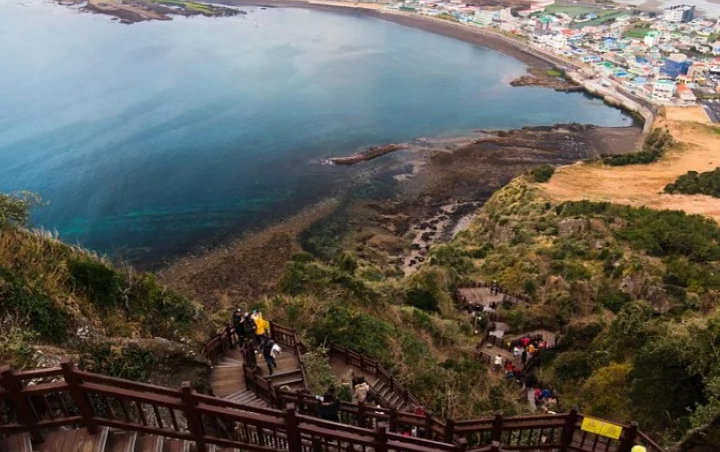 Nekat ‘Plesiran’ Ke Pulau Jeju, Dua Wisatawan Tuai Rp1,7 M Denda Usai Tunjukkan Gejala COVID-19