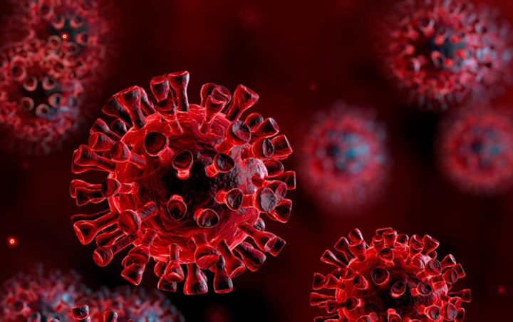 WHO Pastikan Virus Corona Bukan Hasil Rekayasa Manusia