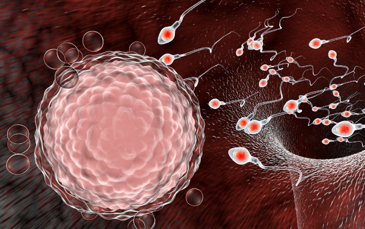 Virus Corona Terungkap Bisa Bertahan Di Cairan Sperma, Menular Lewat Hubungan Seks?