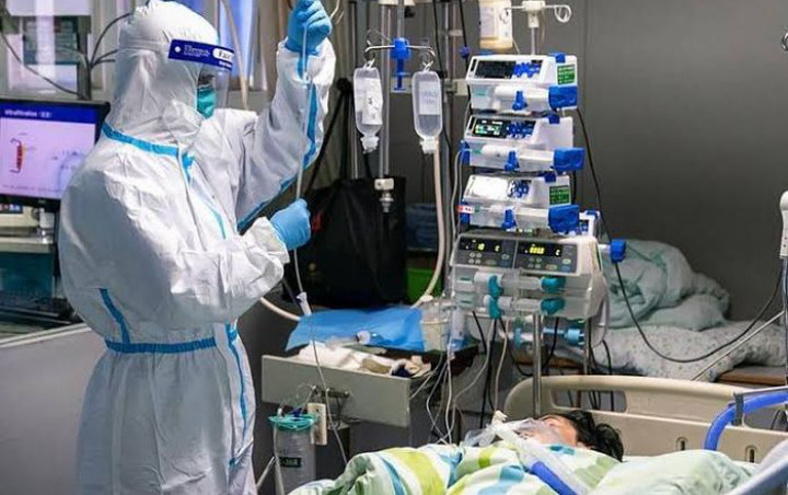 Kabar Baik, Wanita Pasien Kritis Corona Dapat Diselamatkan dengan Transplantasi Paru-Paru