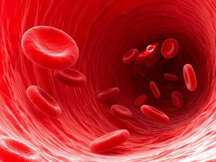 Meningkatkan Produksi Sel Darah Merah