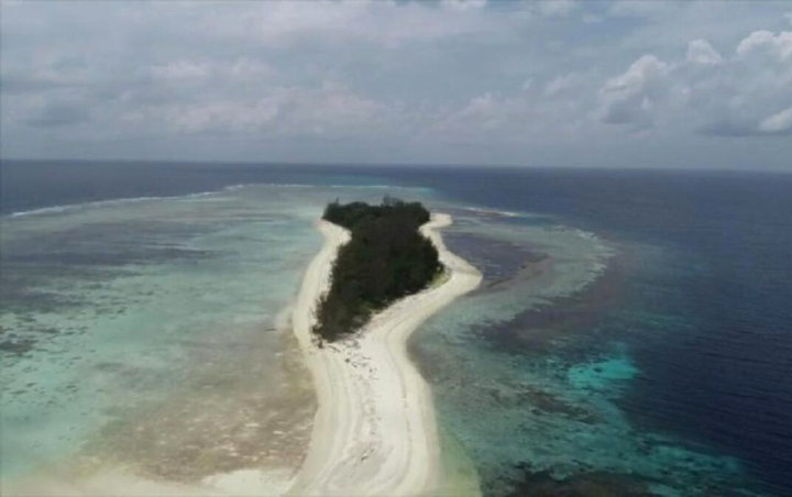 Dibandrol Rp 2 Miliar, Ini Pengakuan Warga yang 'Jual' Pulau di Mamuju