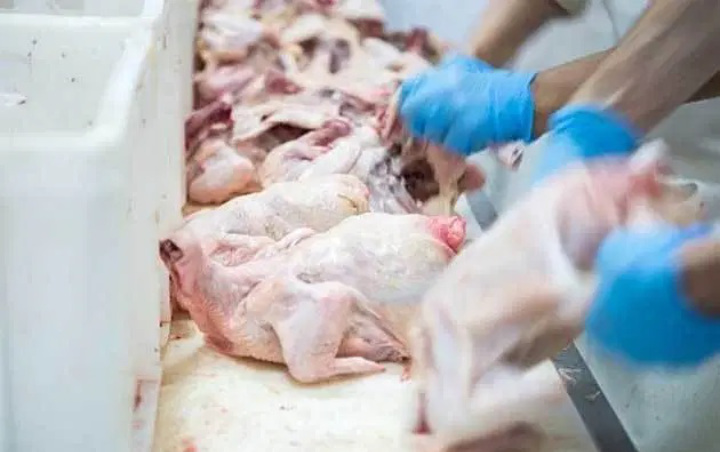 Usai Salmon, Tiongkok Kini Larang Impor Ayam Dari AS Hingga Tutup Pabrik Pepsi