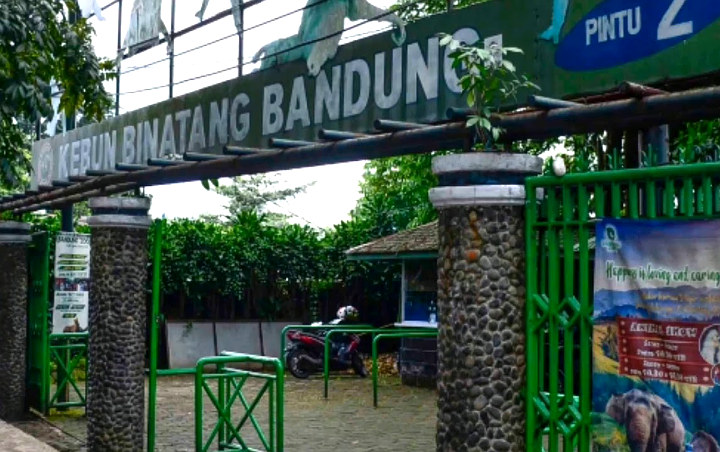 Kebun Binatang Bandung  Terapkan Sistem Buka  Tutup Saat  