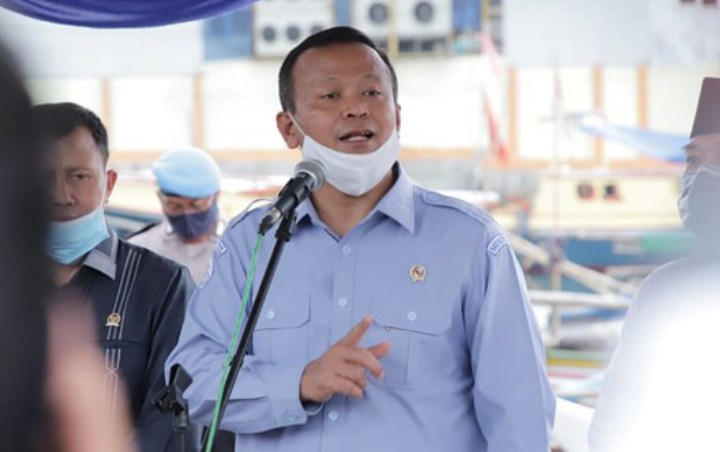 Ngotot Buka Ekspor Benih Lobster Meski Banyak Ditentang, Menteri KKP Edhy Prabowo Ungkap Alasannya