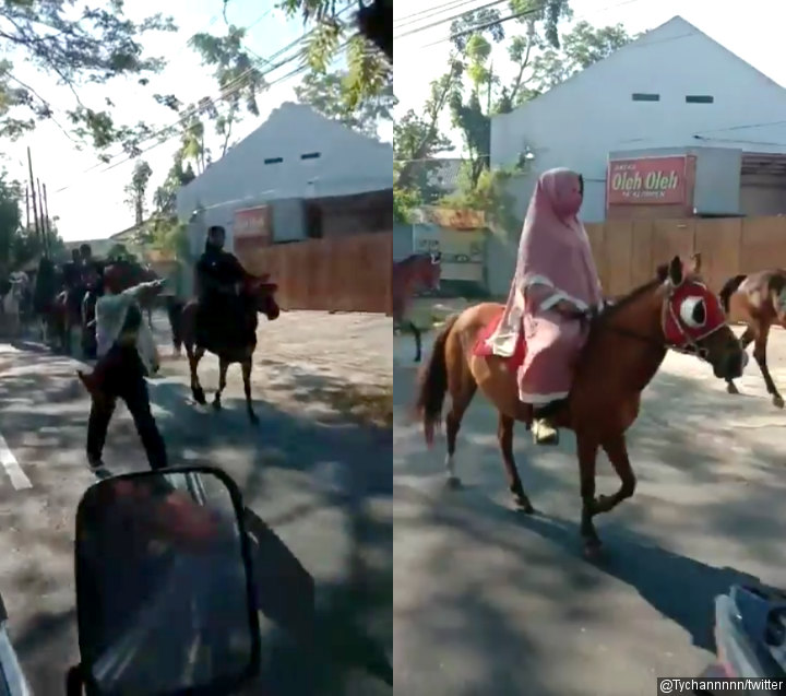 Viral Video Gerombolan Penunggang Kuda