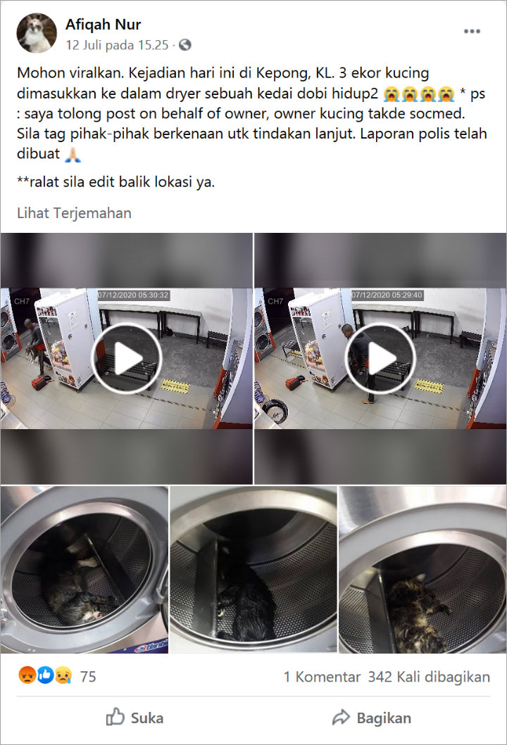Tega Masukkan 3 Kucing ke Dalam Mesin Cuci, Pria Ini Akhirnya Diringkus Polisi