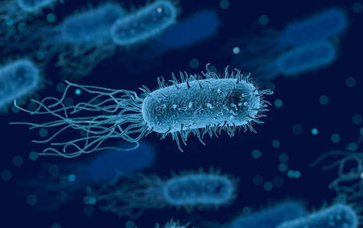 Pertama di Dunia, Bakteri Pemakan Logam Ditemukan Secara Tak Sengaja