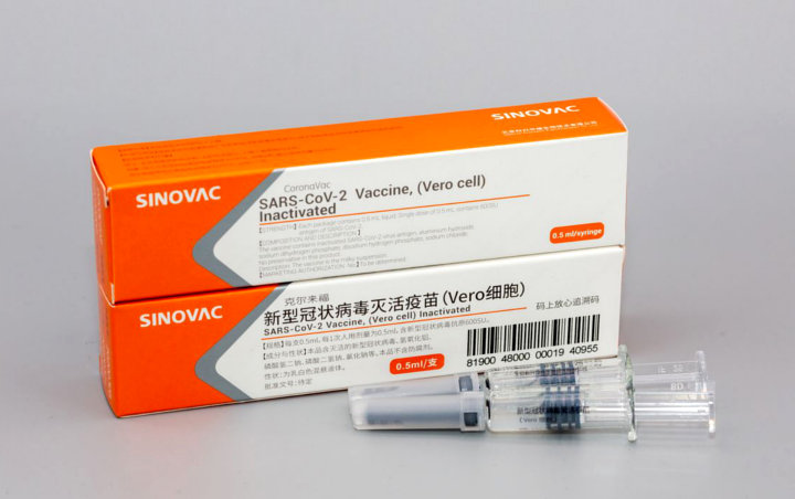 Dimulai Hari Ini, Begini Tahapan Uji Klinis Fase III Vaksin Corona Sinovac