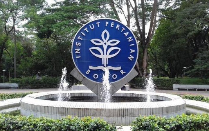 Kalahkan ITB Dan UI, IPB Jadi Universitas Terbaik Di Indonesia