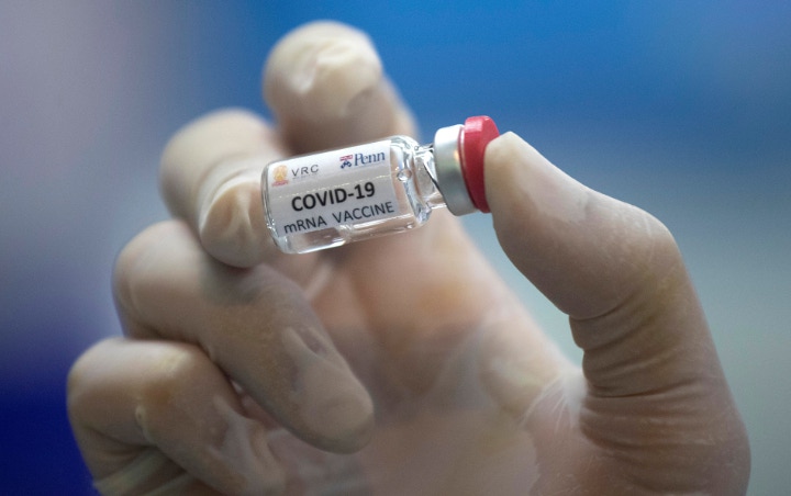 WHO Ramal Vaksin Corona Baru Ada Pertengahan 2021, Ini Alasannya