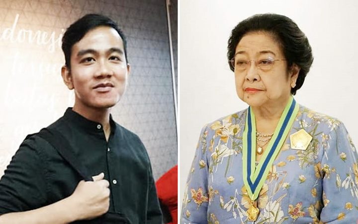 PDIP Niat Menangkan Gibran di Solo Sampai Megawati 'Turun Gunung' Jadi Jurkam