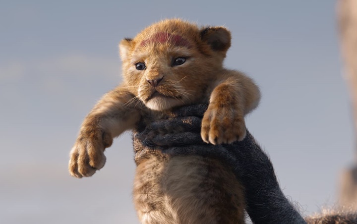 Sekuel 'The Lion King' Siap Digarap, Disney Gandeng Sutradara 'Moonlight'