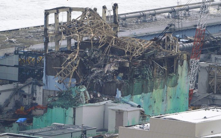 Greenpeace Peringatkan Limbah Air PLTN Fukushima Bisa Rusak DNA Manusia
