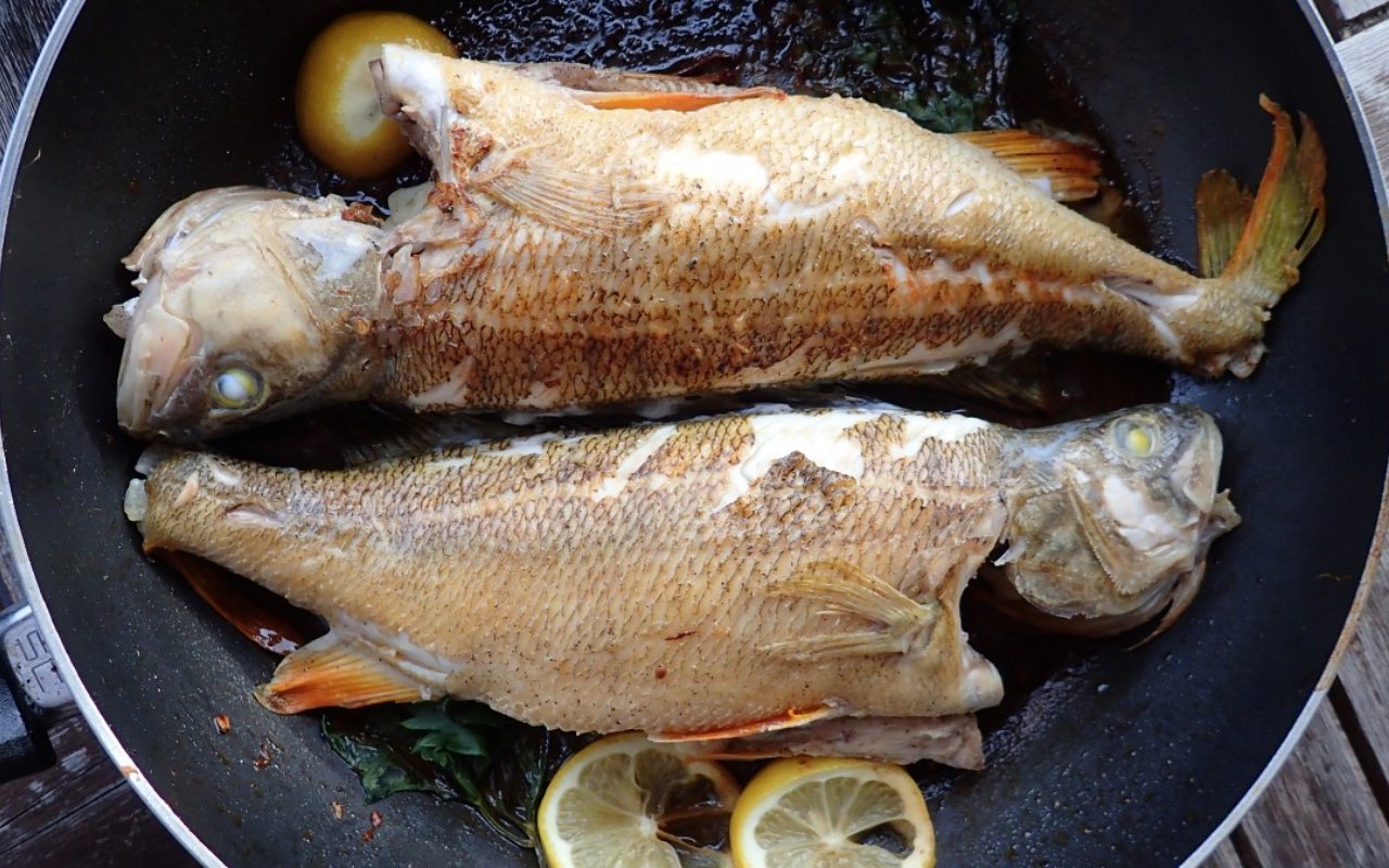 7 Trik Jitu Menggoreng Ikan Agar Tidak Meletup dan Lengket di Wajan Bagi Pemula