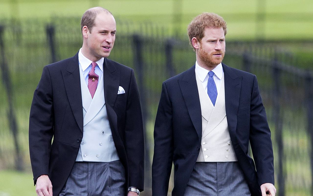 Warisan Putri Diana Ini Diduga Timbulkan Perpecahan Antara Pangeran William dan Harry