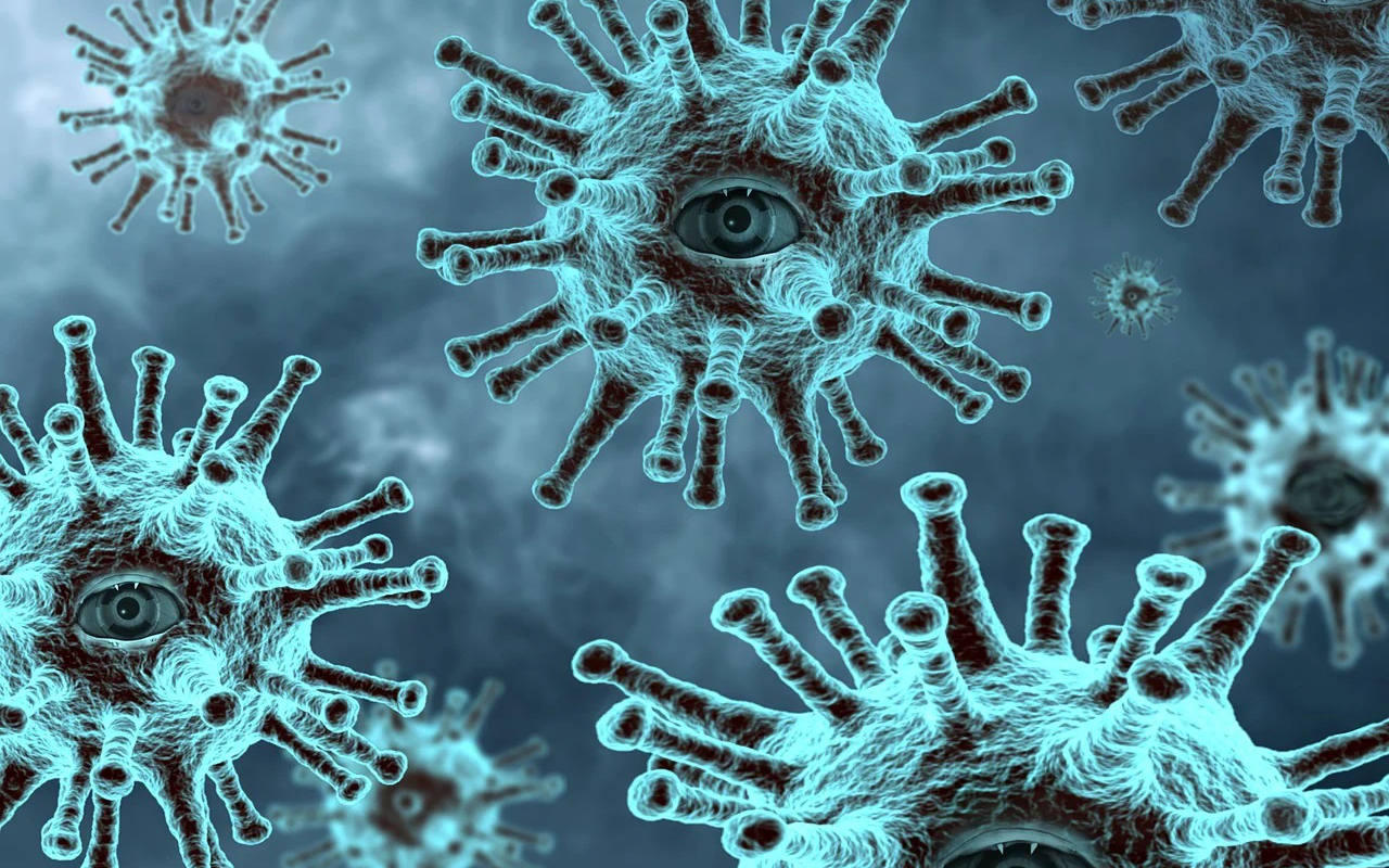 Belum Ada Obatnya, Begini Cara Cegah Virus Nipah Yang Bisa Jadi Pandemi Baru