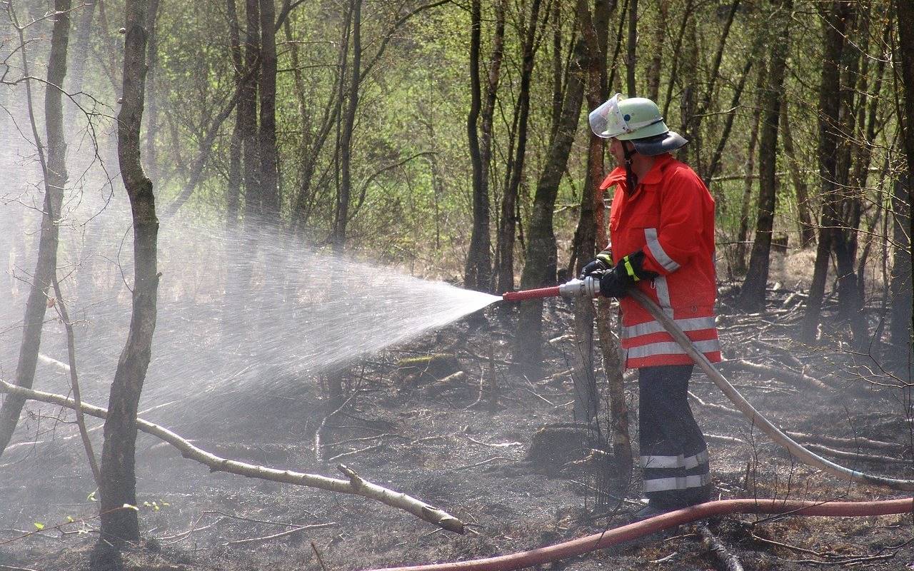 Banjir 'Tutupi' Karhutla Riau, Puluhan Hektare Lahan Terbakar dan Titik Api Meluas