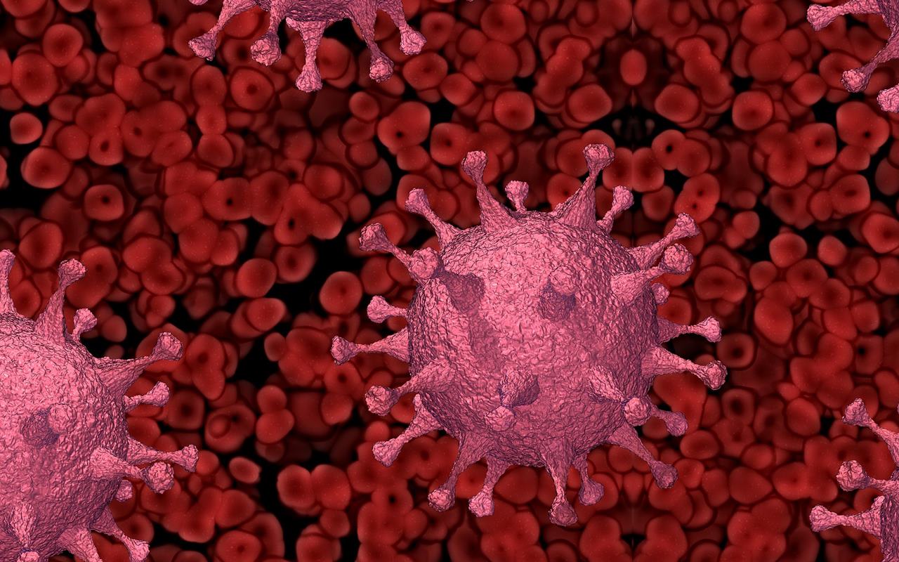 Ada Mutasi 'Hybrid' Virus Corona Ancam Jadi Gelombang Baru, Indonesia Sudah Siap?
