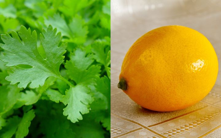 Daun Ketumbar dan Lemon yang Kaya Antioksidan