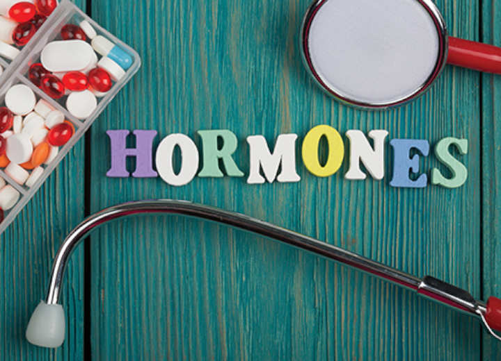 Memperlancar Sekresi Hormon Tertentu