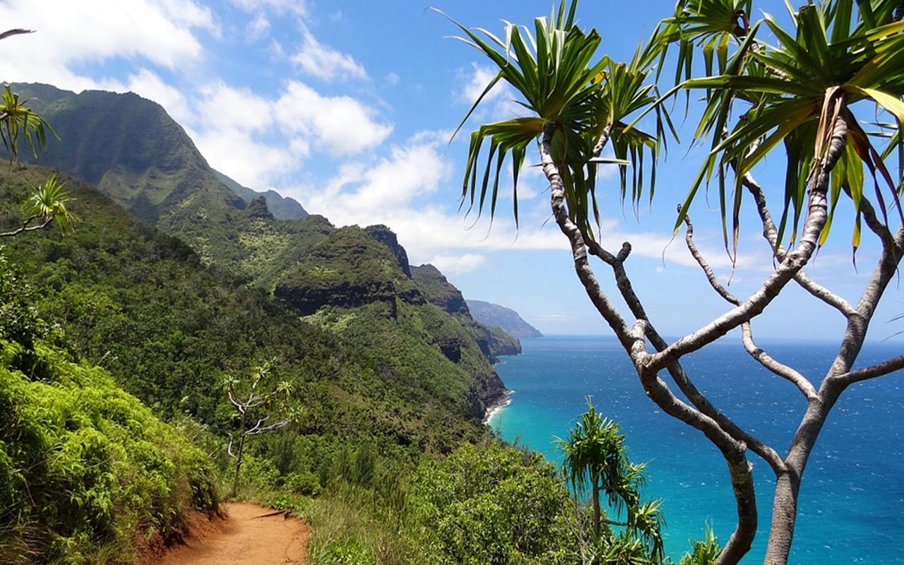 Hawaii Siap Cabut Aturan Karantina, Pelancong Tak Perlu Bawa Bukti Vaksin Atau Tes Negatif COVID-19