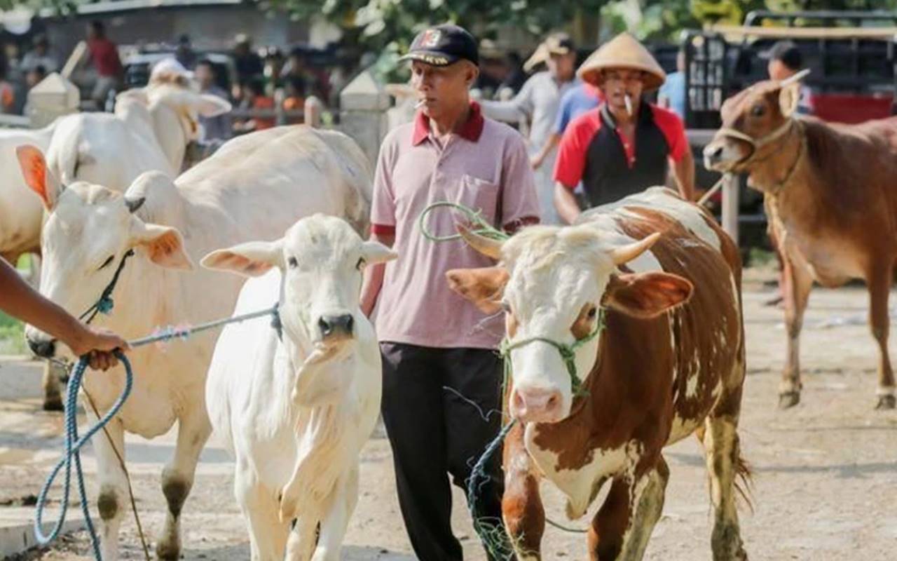 Kemenag Gelar Sidang Isbat Sore Ini Untuk Tentukan Idul Adha