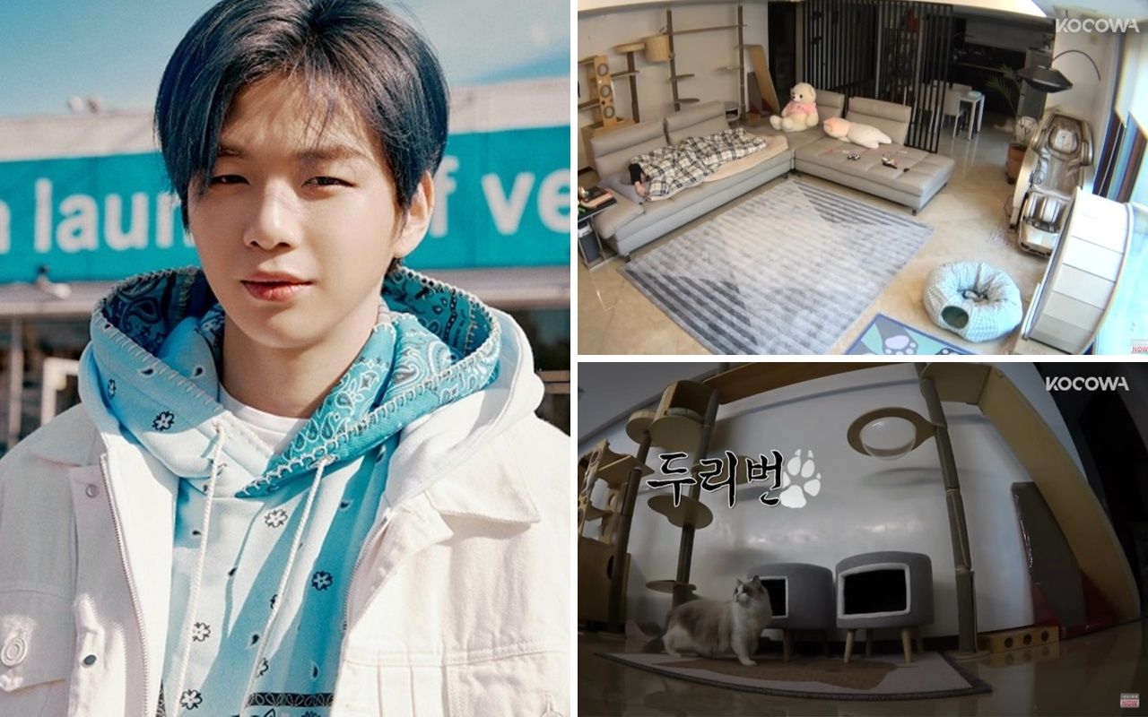 Kang Daniel Pilih Tidur di Sofa, Intip 10 Potret Rumahnya Yang Cozy dan Cat Friendly