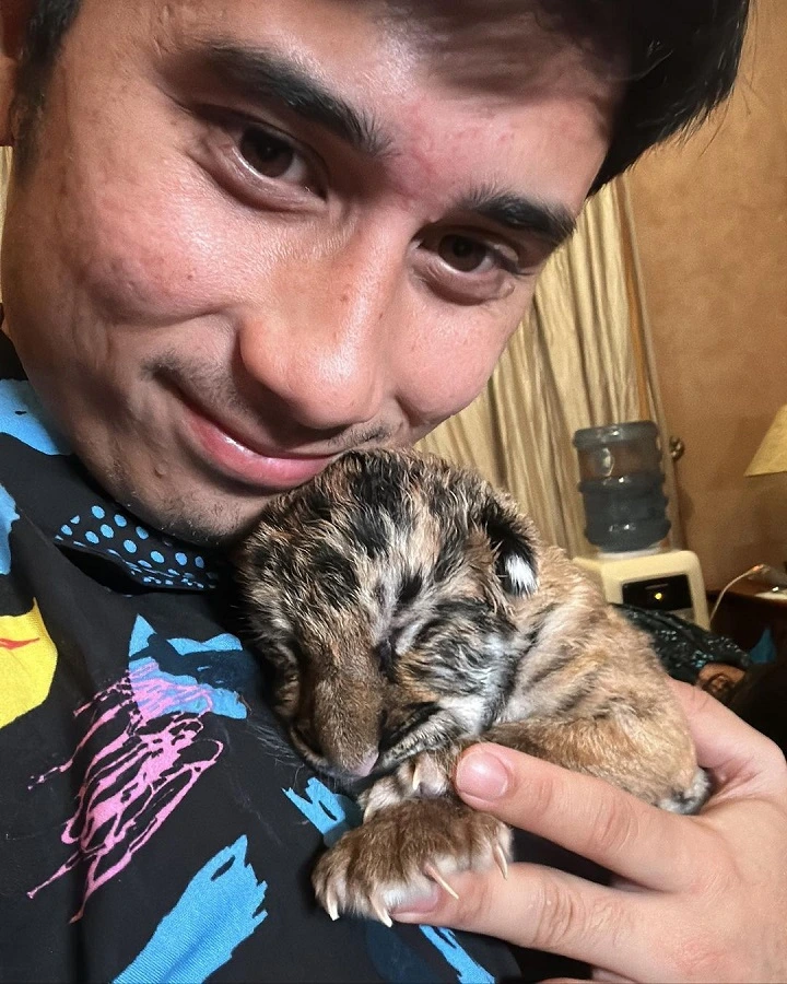 Anak Harimau Alshad Ahmad Mati