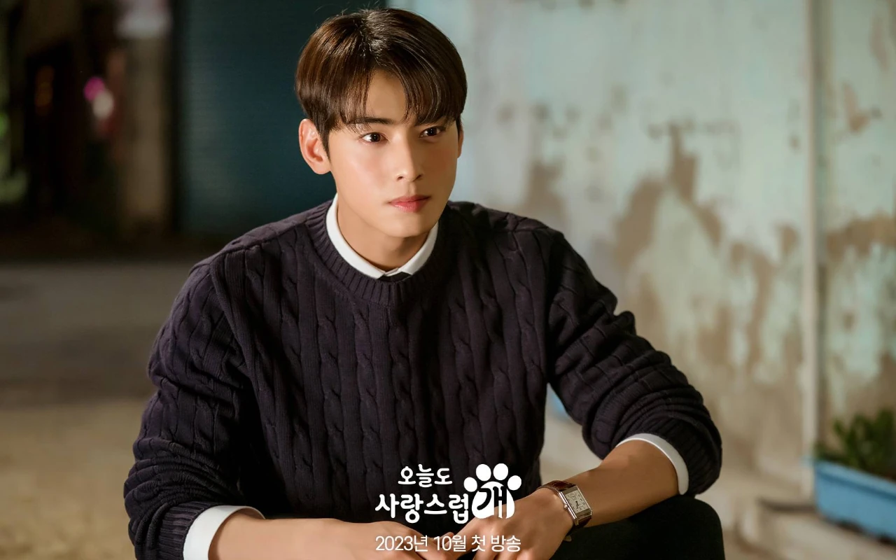 Cha Eunwoo Punya Perbedaan Drastis Dengan Karakter Jin Seo Won 'A Good ...