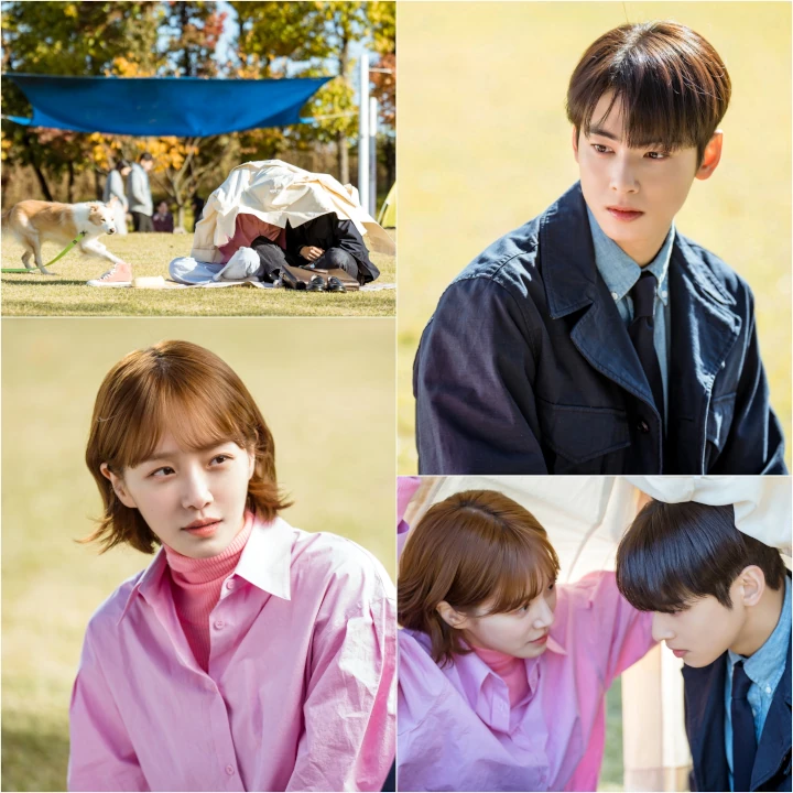 Cha Eunwoo & Park Gyu Young Kencan, Tim \'A Good Day to Be a Dog\' Spill Ada Skinship