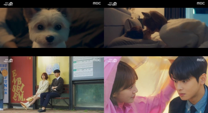 \'A Good Day to Be a Dog\' Episode 4 Recap: Cha Eunwoo & Park Gyu Young Ciuman di Kamar