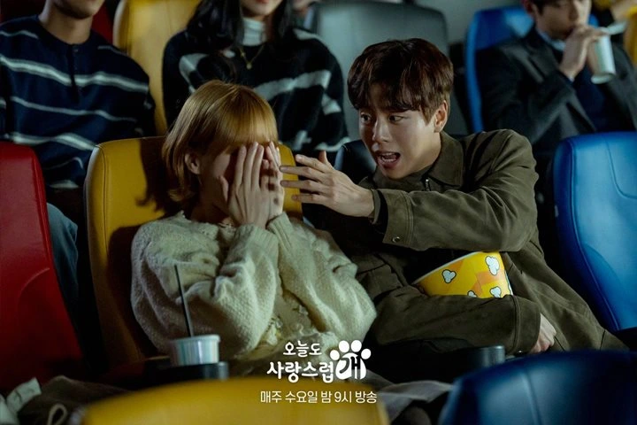 \'A Good Day to Be a Dog\' Episode 12 Recap: Park Gyu Young Tolak Pengakuan Cinta Cha Eunwoo