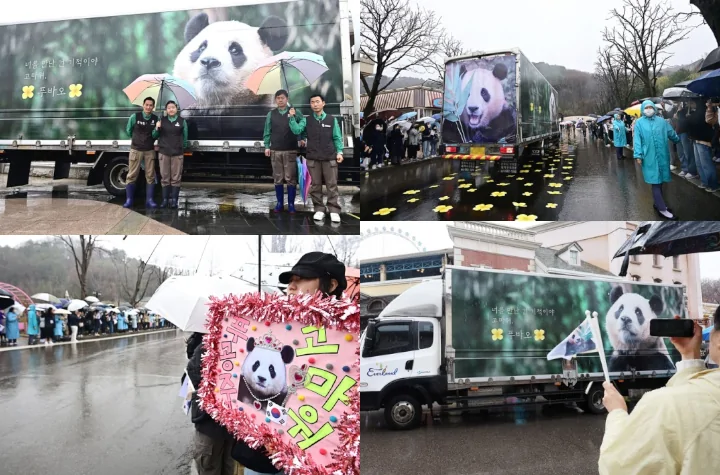 Suara Merdu Jungwoo NCT Bikin Mewek kala Iringi Kepulangan Panda Fu Bao ke Tiongkok