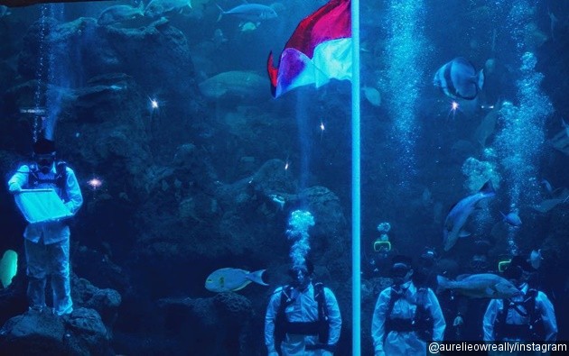 Gambar Foto Paling unik, Aurelie Moeremans mengikuti upacara peringatan HUT RI ke-72 di akuarium Ancol.