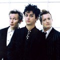 Green Day Kompak dengan Jas Hitam
