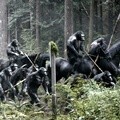 Kelanjutan Film 'Rise of the Planet of the Apes' Ini Hadirkan Kembali Caesar, Pemimpin Bangsa Kera