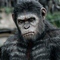 Caesar di Film 'Dawn of the Planet of the Apes'