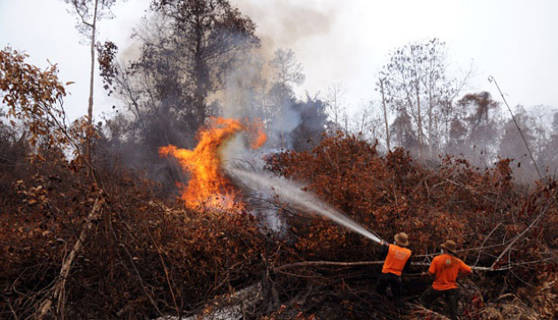 Sebabkan Kabut Asap, 7 Perusahaan Asing Jadi Tersangka Kebakaran Hutan