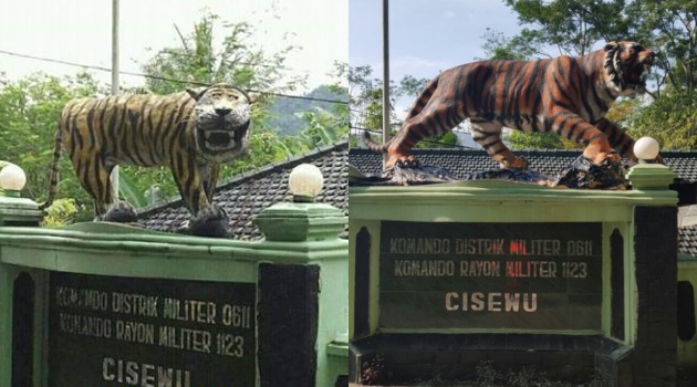 Unduh 50 Gambar Harimau Imut Terbaik 