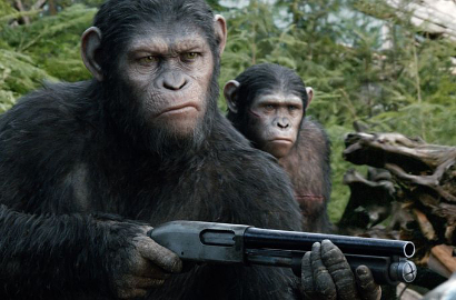 Foto Unik 'Planet of the Apes' Tampilkan Monyet Kokang Senjata