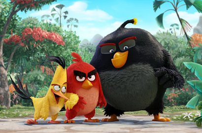 Intip Penyebab Burung-Burung Selalu Marah di Trailer Perdana 'Angry Birds'
