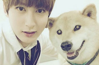 Jaehyo Block B Jadi Sukarelawan Anjing Terlantar