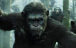 Manusia Versus Kera di Trailer 'Dawn of the Planet of the Apes'